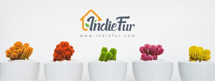 IndieFur.Com India's only branded aquarium store