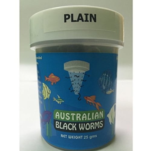 Australian Blackworms Plain