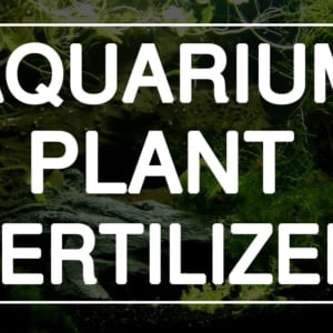 Planted Fertilizer