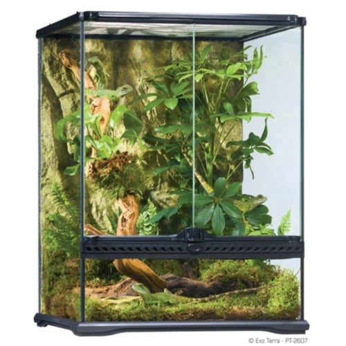 Exo Terra Natural Terrarium - Advanced Reptile Habitat