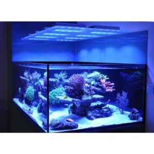 Marine Aquarium Lights