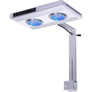 NEMO LED Light 140 W Advanced T Series Indiefur.com