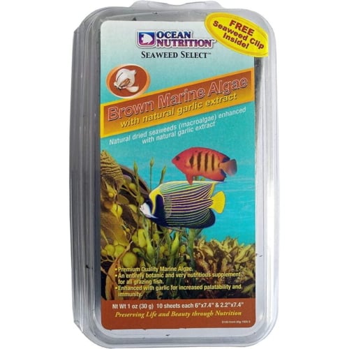 Ocean Nutrition Brown Marine Algae