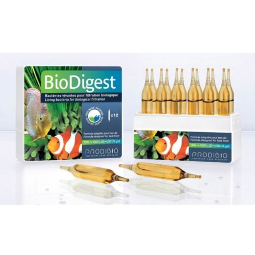 ProdiBio BioDigest 12 Vials