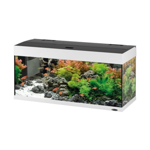 HYDOR DUBAI 120 LED - 240 L Aquarium White