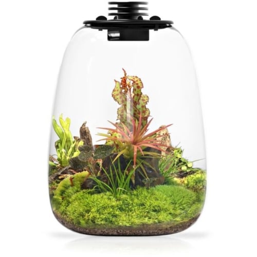 BioloarK Eco bottle - QD 205