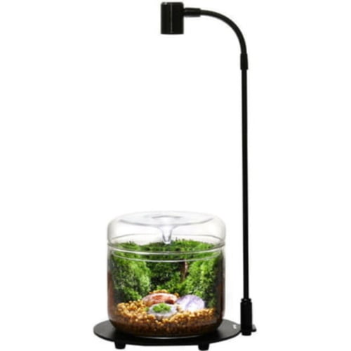 Bioloark Eco Bottle Lamp With Stand