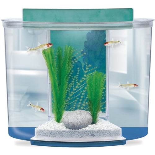 MA Splash Aquarium