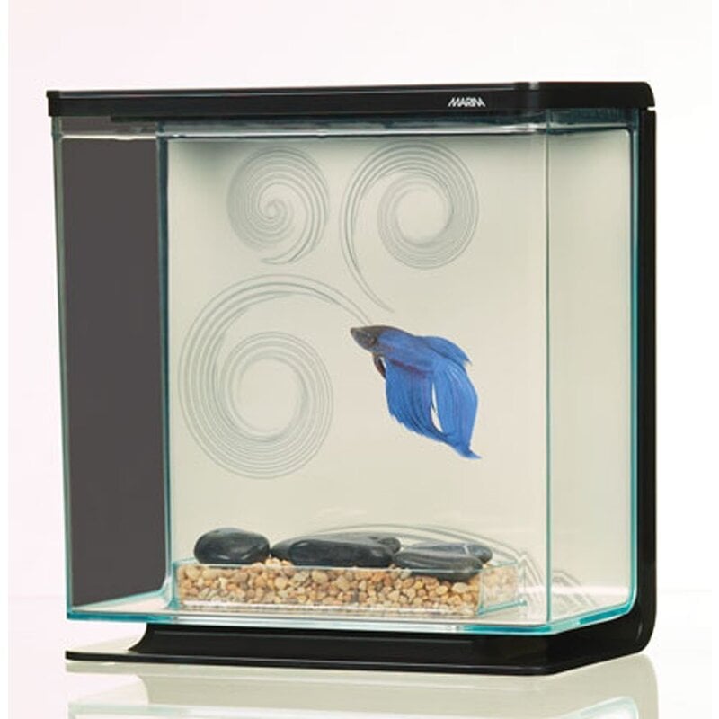 IndieFur - Branded Online Aquarium Store in India. Marina Betta