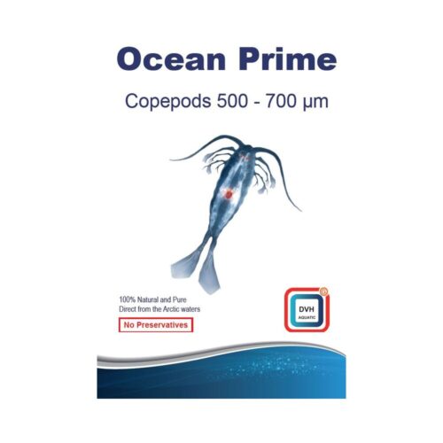 Ocean Prime Copepods 500 - 700 um